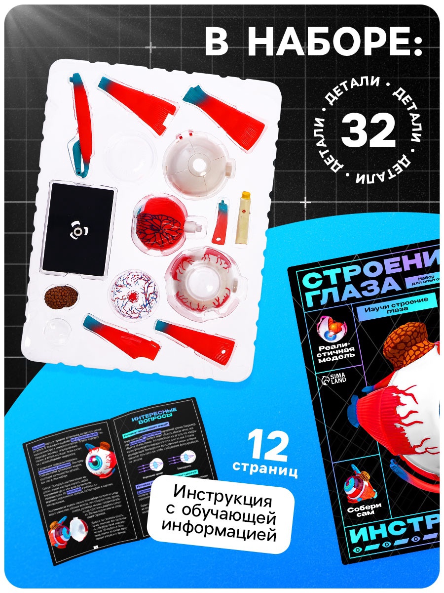 Анатомическая модель Эврики Строение глаза TXX-020 / 10690585 — фото 3