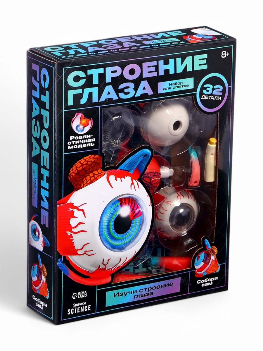 Анатомическая модель Эврики Строение глаза TXX-020 / 10690585 — фото 11