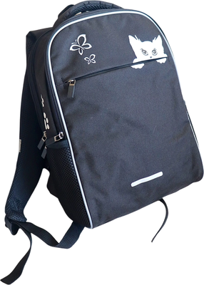 

Школьный рюкзак, 41223 / 24с85к45