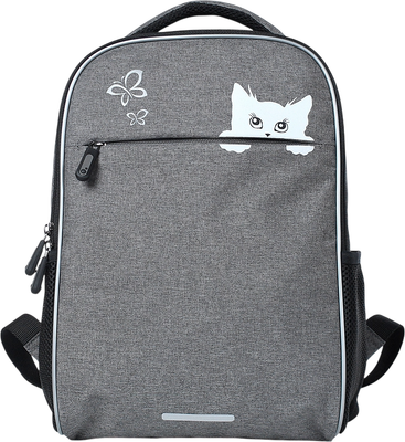 

Школьный рюкзак, 41223 / 24с85к45