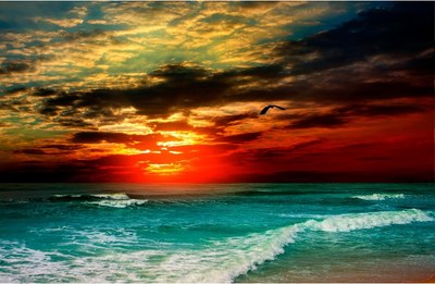 

Фотообои листовые, Море и Водопады 64