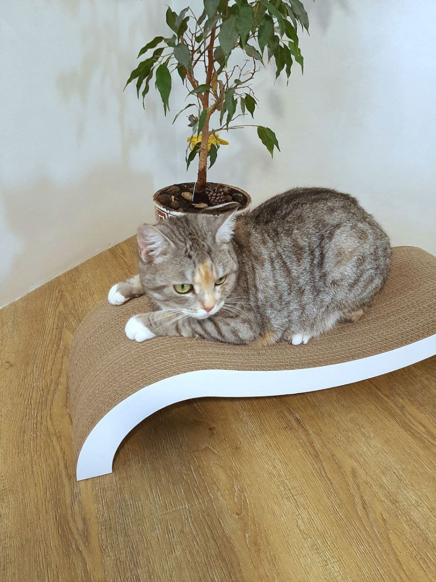 Когтеточка Cat House Мостик L — фото 6