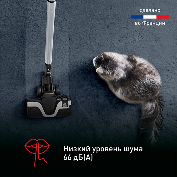 Купить Пылесос Tefal TW7C71EA в Минске