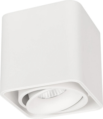 

Точечный светильник, SP-CUBUS-S100x100-8W Warm3000 WH 45deg / 036051