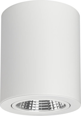 

Точечный светильник, SP-FOCUS-R120-16W Day White / 021426