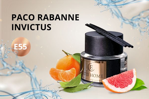 Аромадиффузор Etib Parfum E55 (100мл)