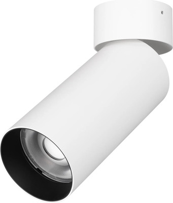 

Точечный светильник, SP-GABI-SURFACE-FLAP-R60-12W Warm3000 WH 36deg / 049928