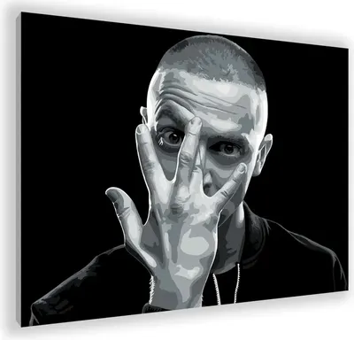 

Картина по номерам, Оксимирон / PL-00162