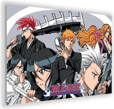 

Картина по номерам, Блич / PL-00149