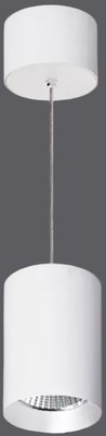 

Потолочный светильник, SP-POLO-R85-2-15W Day White 40deg White White Ring / 022948