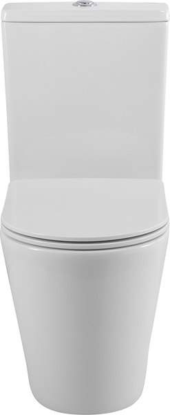 Купить Унитаз напольный BelBagno Flay-Tor BB2149CP-TOR/BB2149T/BB089SC в Бобруйске