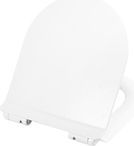 Купить Унитаз подвесной Cezares Stylus-Tor CZR-6601-TH-TOR/CZR-076-SC в Могилеве