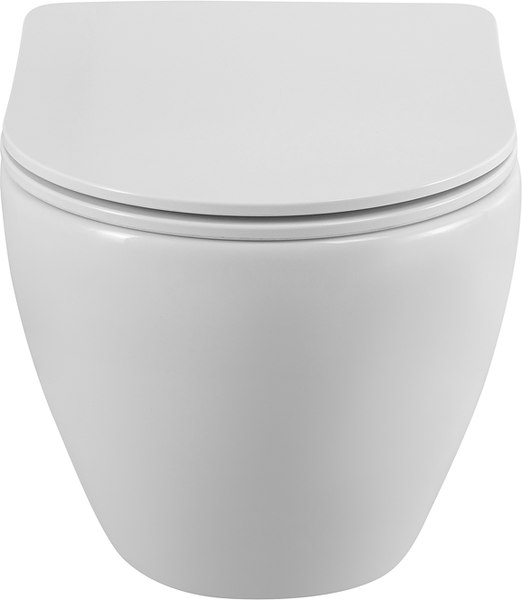 Купить Унитаз подвесной Cezares Stylus CZR-513-TH-R/CZR-089-SC в Барановичах