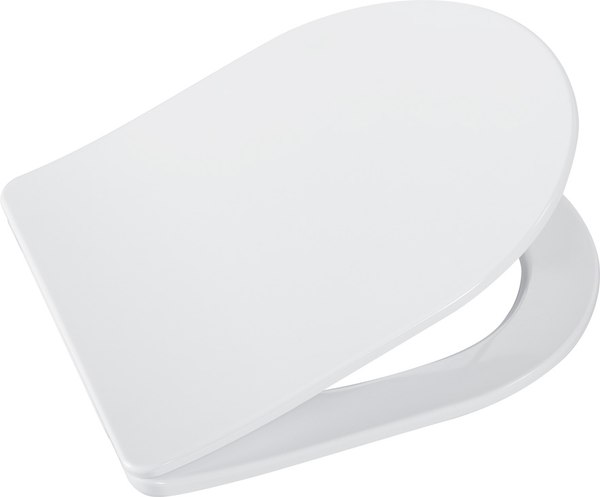 Купить Унитаз подвесной Cezares Stylus CZR-513-TH-R/CZR-089-SC в Барановичах