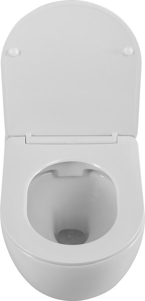 Купить Унитаз подвесной Cezares Stylus CZR-513-TH-R/CZR-089-SC в Барановичах