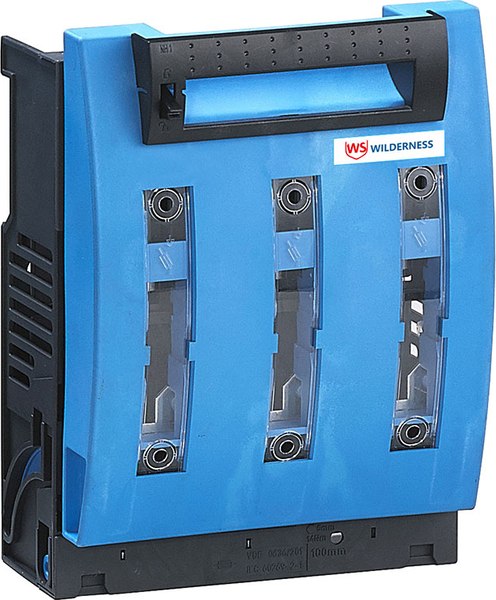 Блок-разъединитель Wilderness FD1 250A NT1 (R) / 84810FD