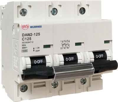 

Выключатель автоматический, DAW2-125 3P 100A х-ка C 10kA (R) / DAW2-125-3-C100