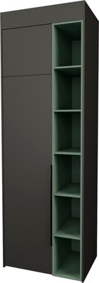 Шкаф Рэйгрупп Рэй S245-B1-WKZ В1 (дуб веллингтон/кобальт/зеленый самшит) - 