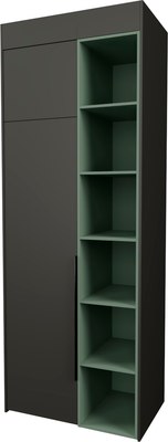 Шкаф Рэйгрупп Рэй S257-B2-WKZ В2 (дуб веллингтон/кобальт/зеленый самшит) - 