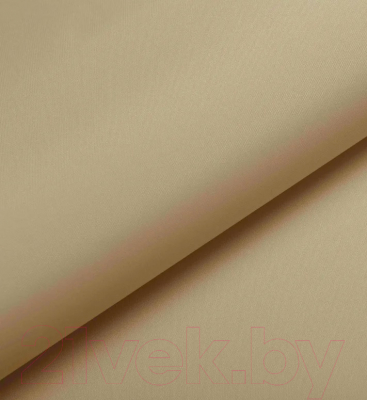 Рулонная штора Lm Decor Симпл Блэкаут LM 68-05 61x160 (бежевый)