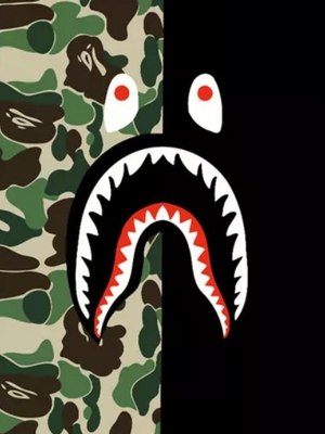 

Картина по номерам, Bape Camouflage / PL-00265