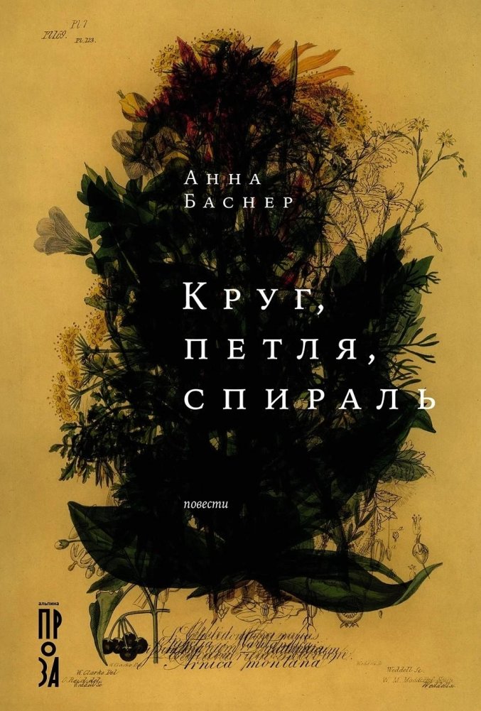 Художественная книга Альпина Круг, петля, спираль, твердая обложка (Баснер Анна )