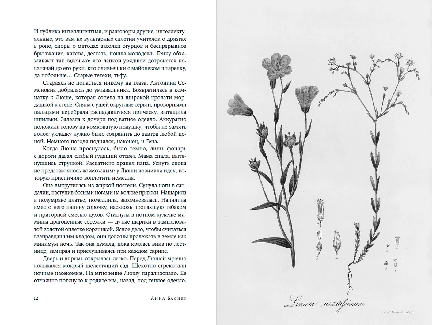 Художественная книга Альпина Круг, петля, спираль, твердая обложка (Баснер Анна ) — фото 2