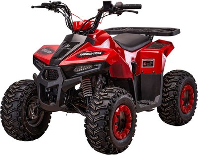 

Квадроцикл, Raposa 110 куб.см.