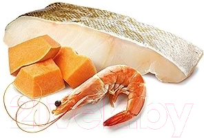 Влажный корм для кошек Farmina N&D Grain Free Ocean Cod, Shrimp & Pumpkin Adult (80г)