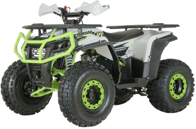 Квадроцикл Yacota Dragon One 125 (белый) - 