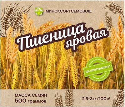 Семена МинскСортСемОвощ Пшеница яровая Сударыня (500г) -