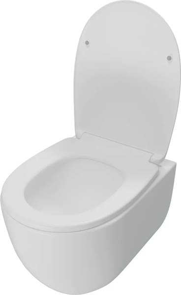Купить Унитаз подвесной Teymi Lori Vortex / T40502 в Молодечно