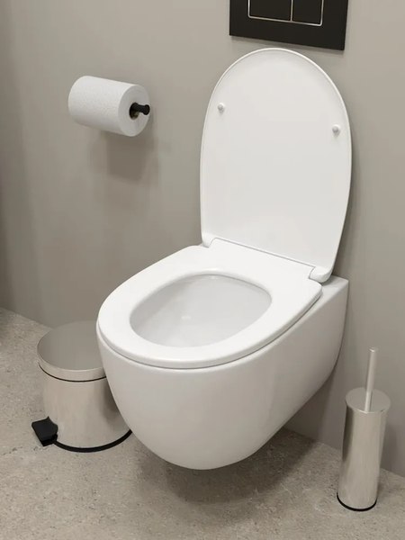 Купить Унитаз подвесной Teymi Lori Vortex / T40502 в Молодечно