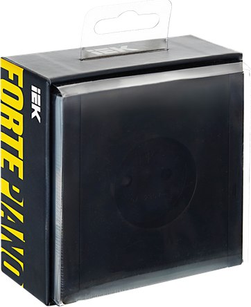 Розетка IEK Forte&Piano FP-R13-10-K02 (черный)