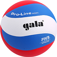 

Мяч волейбольный Gala Sport, Pro-Line 10 FIVB / BV5591S
