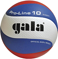 

Мяч волейбольный Gala Sport, Pro-Line 10 / BV5581S