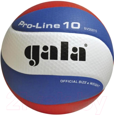 Мяч волейбольный Gala Sport Pro-Line 10 / BV5581S (размер 5, белый/голубой/красный)
