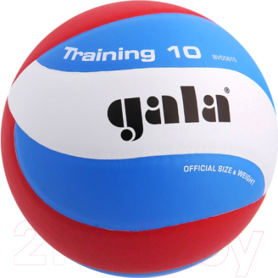 Мяч волейбольный Gala Sport Training 10 / BV5561S (размер 5, белый/голубой/красный)