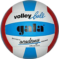 

Мяч волейбольный Gala Sport, Academy / BV5181S