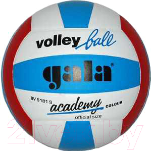 Мяч волейбольный Gala Sport Academy / BV5181S (размер 5, белый/синий/красный)