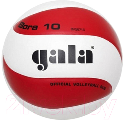 Мяч волейбольный Gala Sport Bora 10 / BV5671S (размер 5, белый/красный)