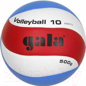 Мяч волейбольный Gala Sport Training Heavy 10 / BV5471S (размер 5, белый /синий/красный)