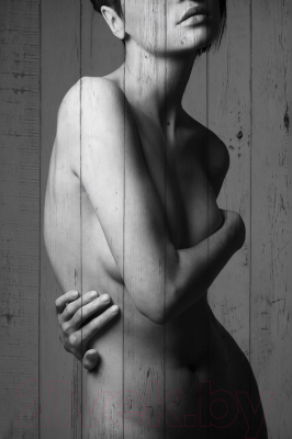 

Картина White Wood, B112-V-132-200-9.2