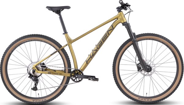 Велосипед Hagen Bikes 3.8 2025 / H25M38MU29XL