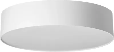 

Потолочный светильник, Bart CL755290