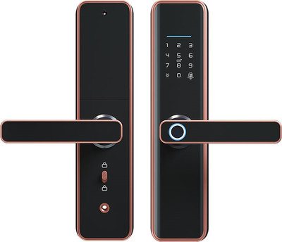 Умный замок Roome Tuya Digital Fingerprint Lock X6