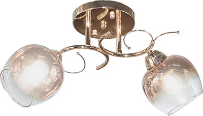 

Потолочный светильник, НПБ 02-2x60-101 / 8406/2