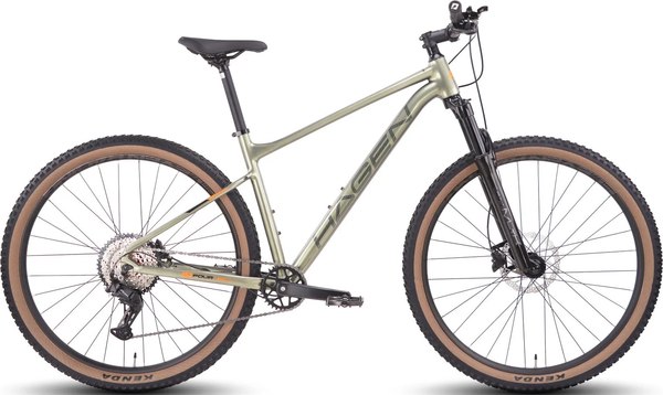 Велосипед Hagen Bikes 4.8 29 2025 / H25M48TG29L
