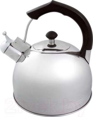 Чайник со свистком Appetite LKD-5052