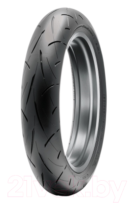 Мотошина задняя Dunlop Sportmax Roadsport 2 180/55R17 73W TL
